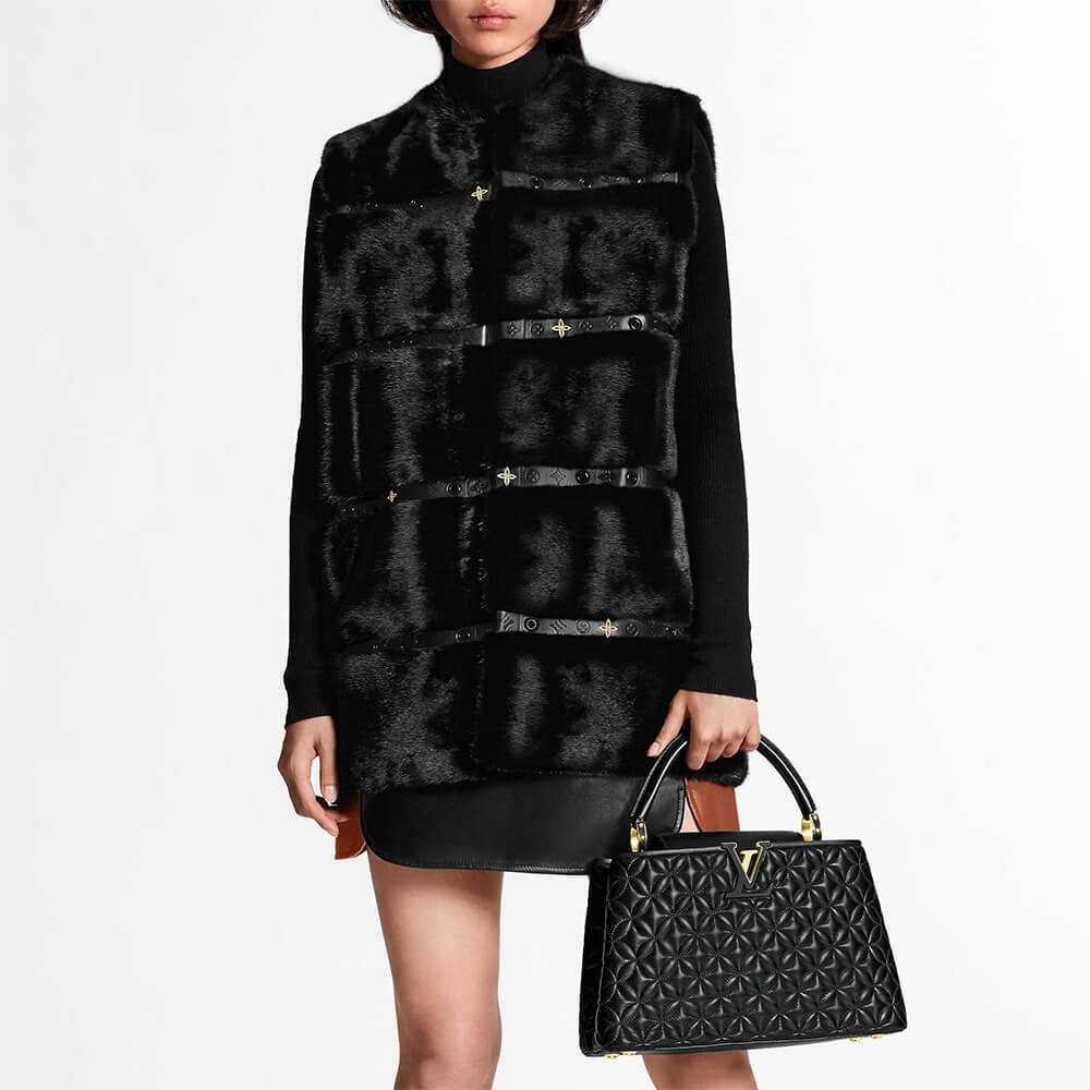 LV CAPUCINES BAG