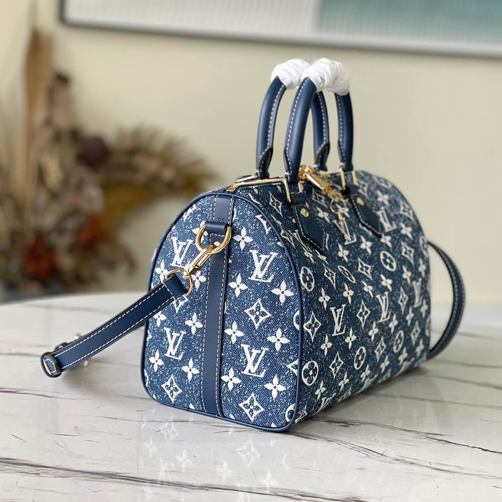 LV Bandouliere 25