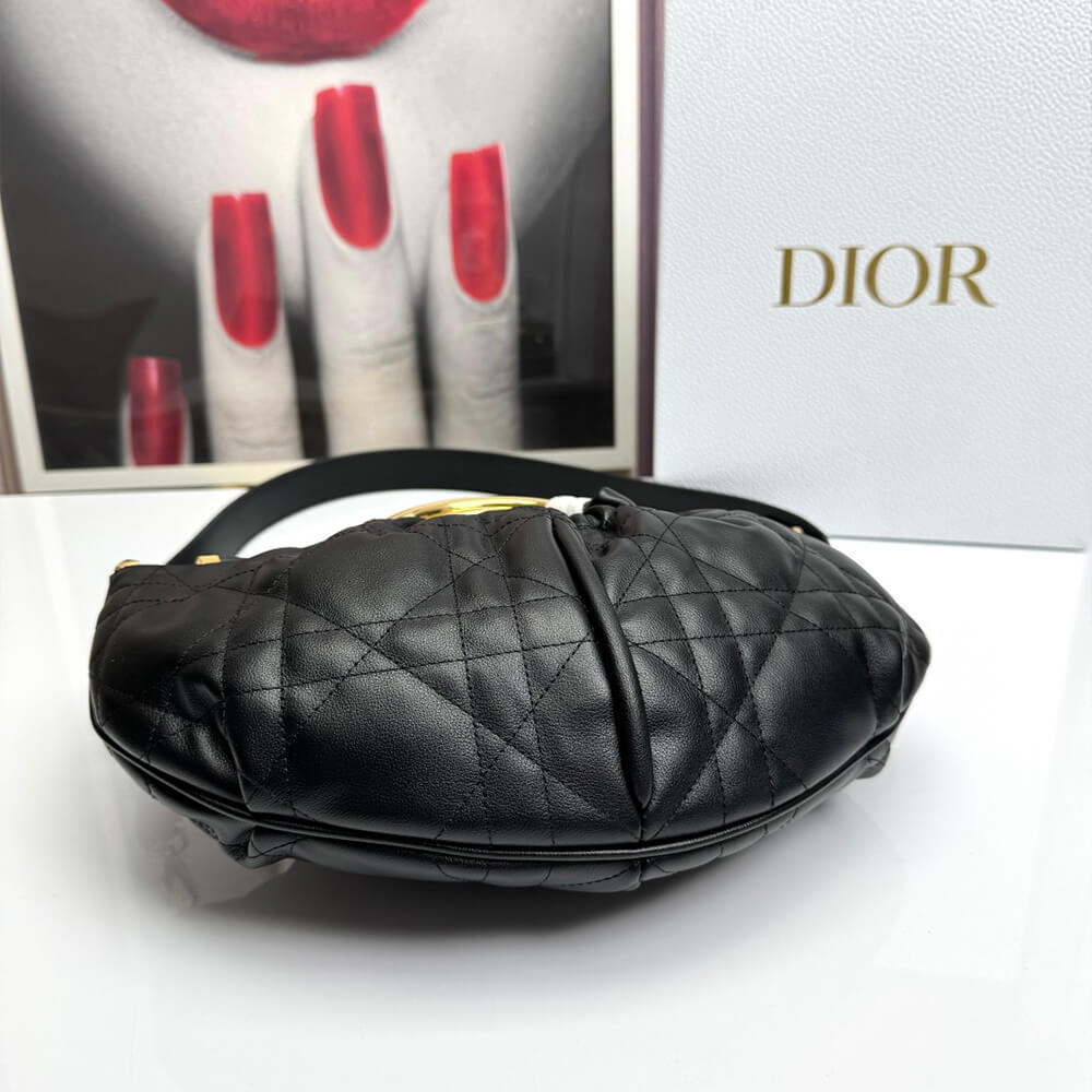 Dior Walk in Dior Purse
