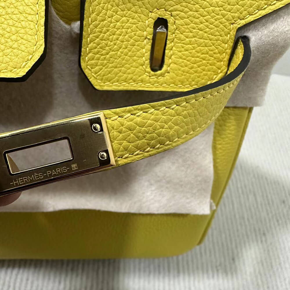 Hermes Birkin 25 Bag(Tax-Free GRADE)