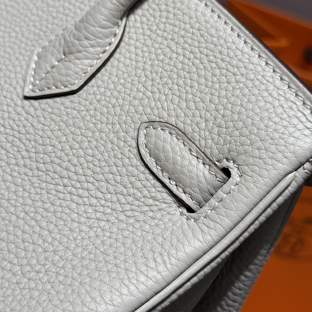 TEEN CELINE CLASSIC PANIER in Palm leaves and Calfskin(high-end grade)