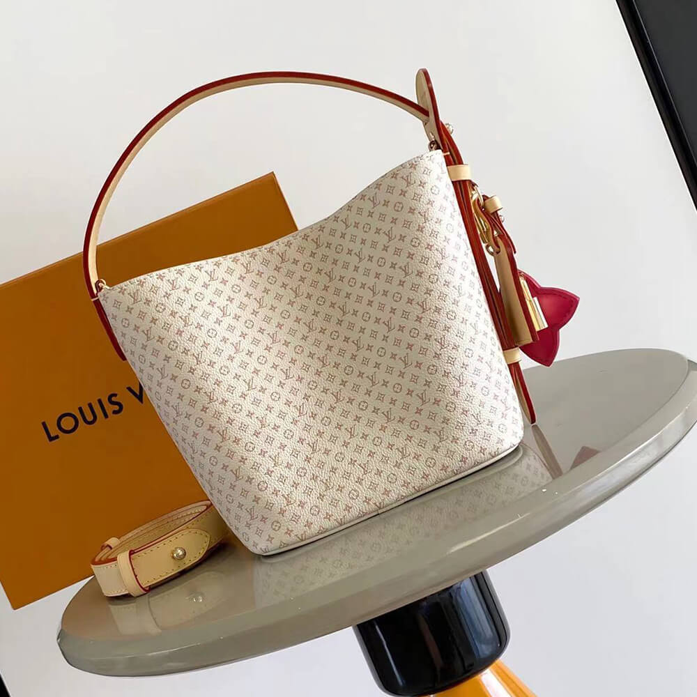 Dior Small Signature Bucket Bag