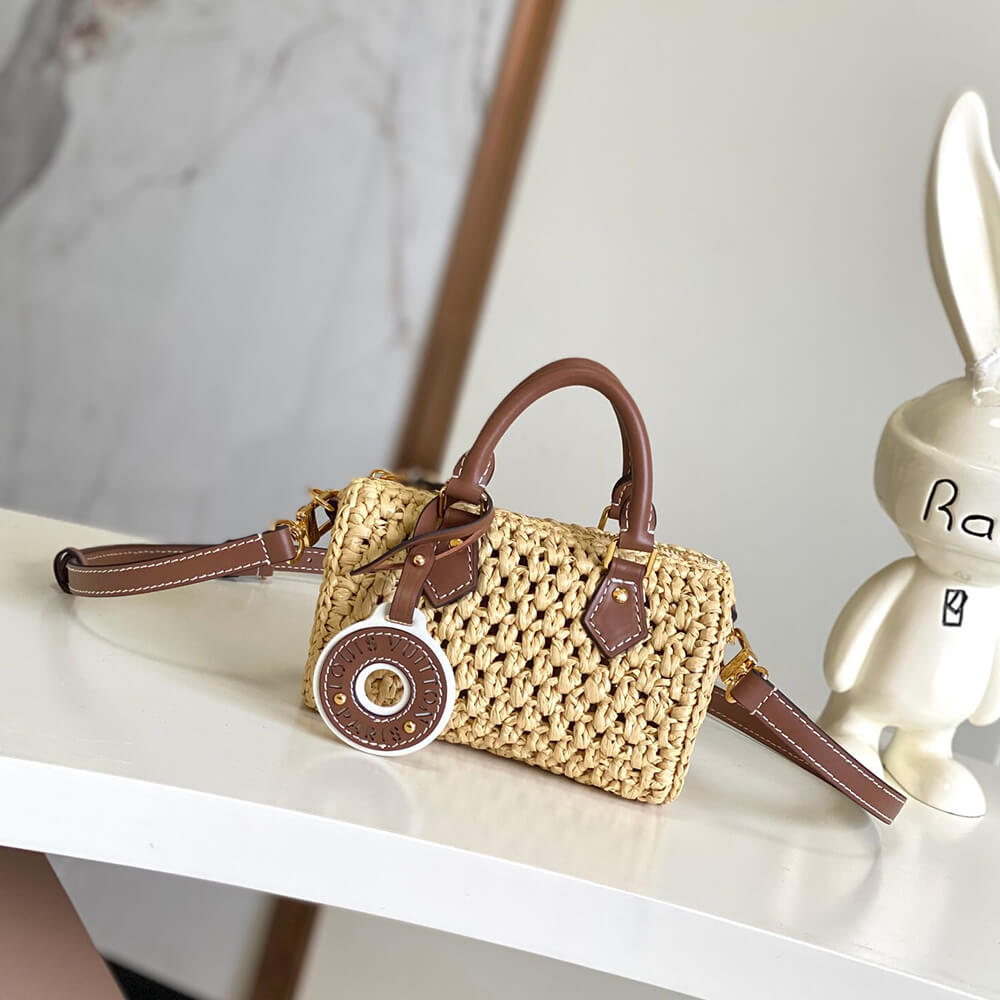 Dior Saddle Bag with Strap