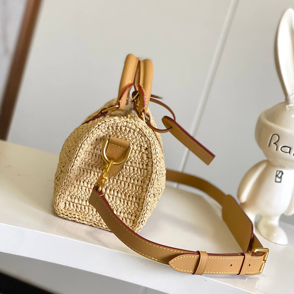 Dior Saddle Bag with Strap