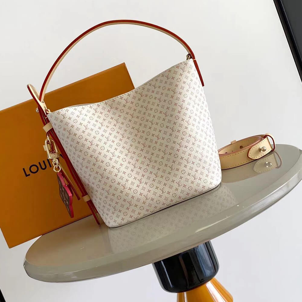 Dior Small Signature Bucket Bag