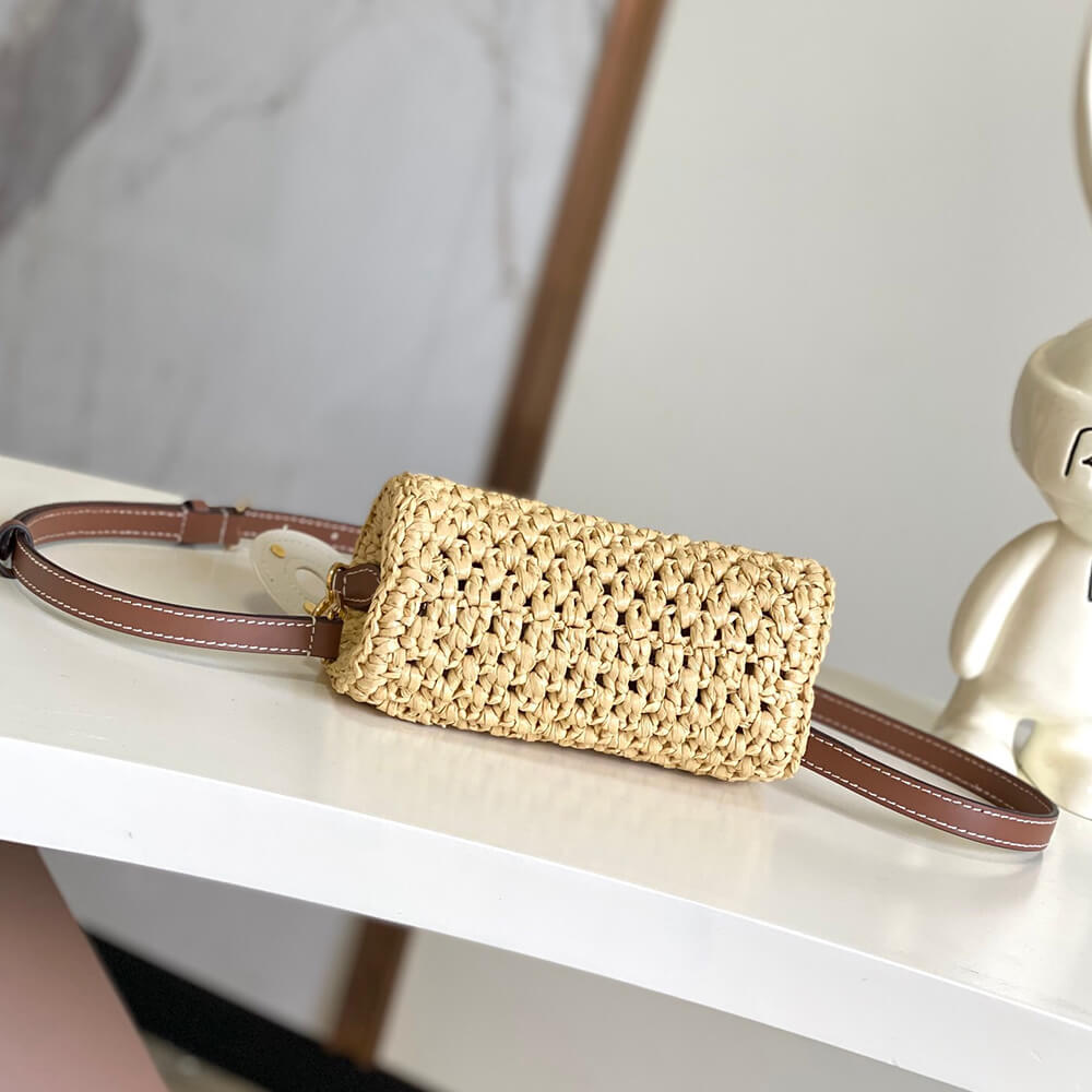 Dior Saddle Bag with Strap