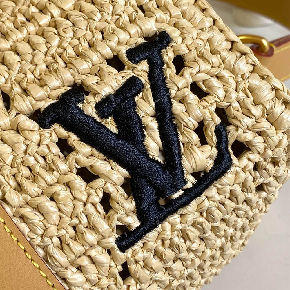 Dior Saddle Bag with Strap