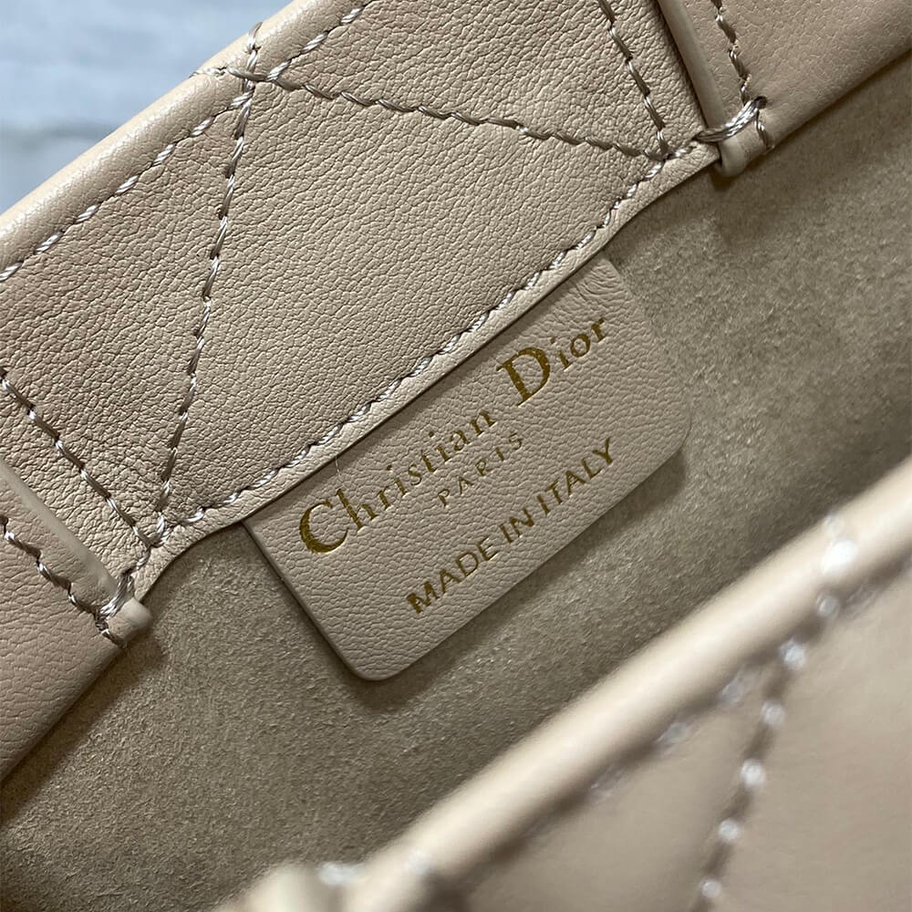 Mini Dior Book Tote