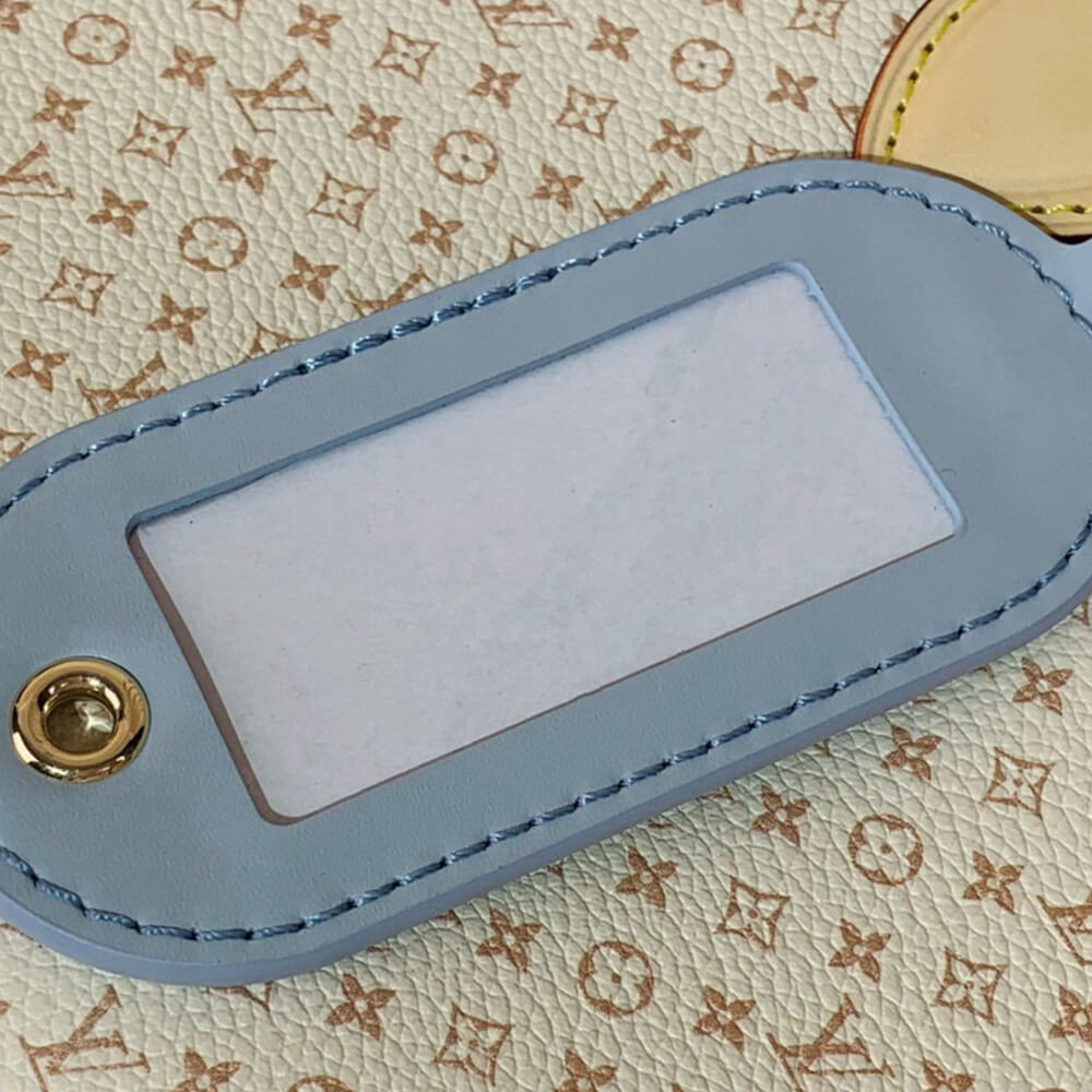 Dior Small Signature Bucket Bag